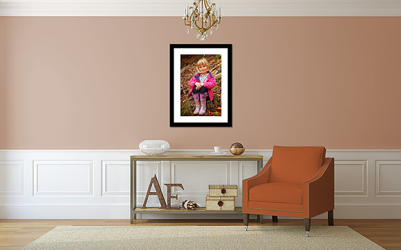 A 30"x20" framed image